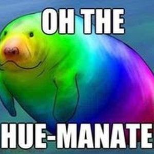 Meet your Posher, Racheal